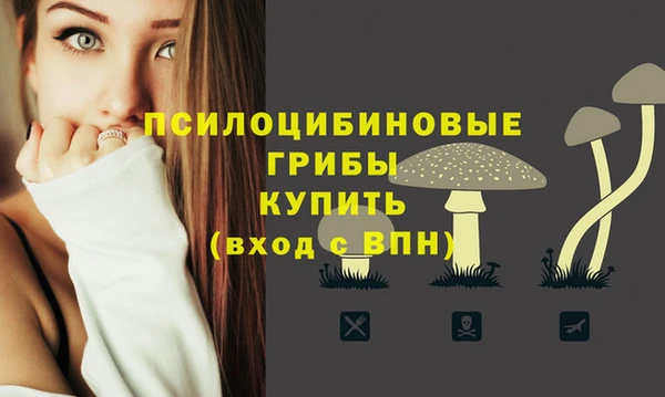 ПСИЛОЦИБИНОВЫЕ ГРИБЫ Волоколамск