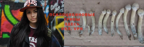 ПСИЛОЦИБИНОВЫЕ ГРИБЫ Волоколамск