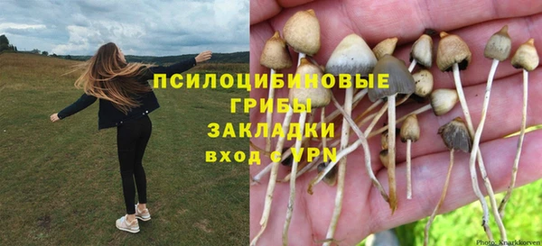 эйфоретик Володарск