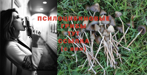 дживик Волосово