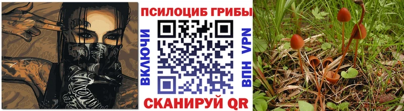 Псилоцибиновые грибы мухоморы  Купить  Миллерово 